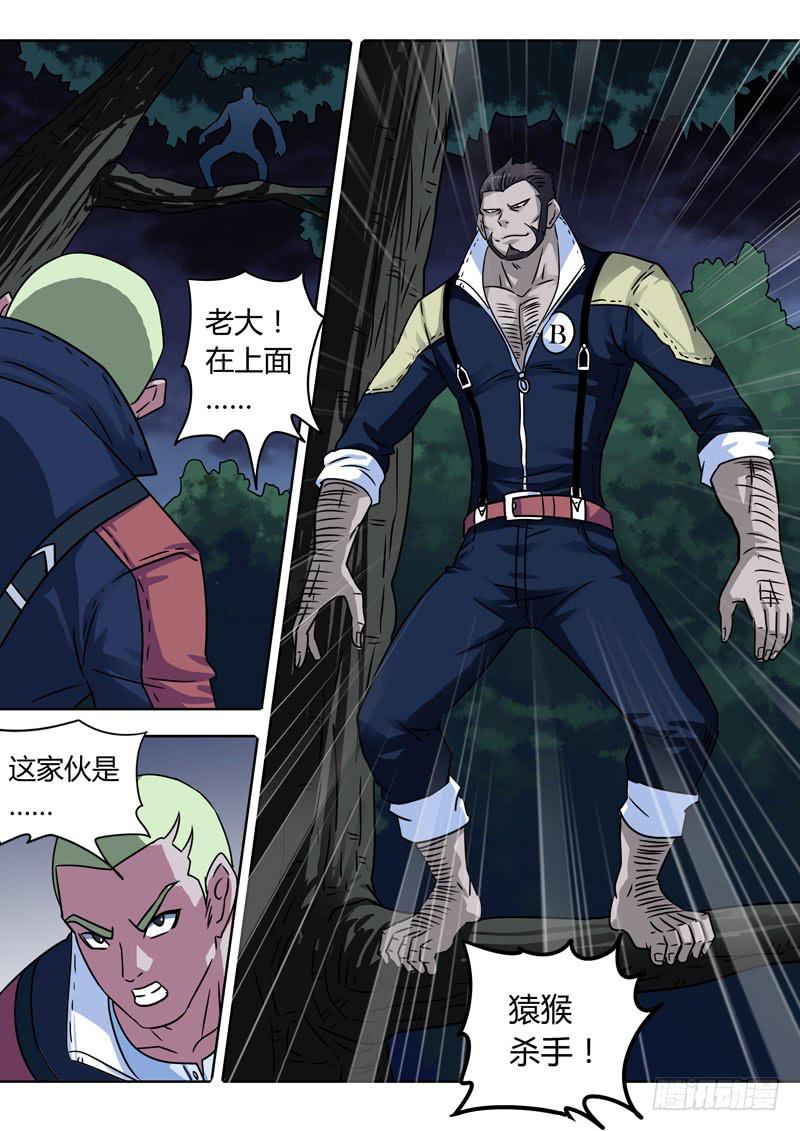 中级杀手蜥蜴和猿猴-第11话