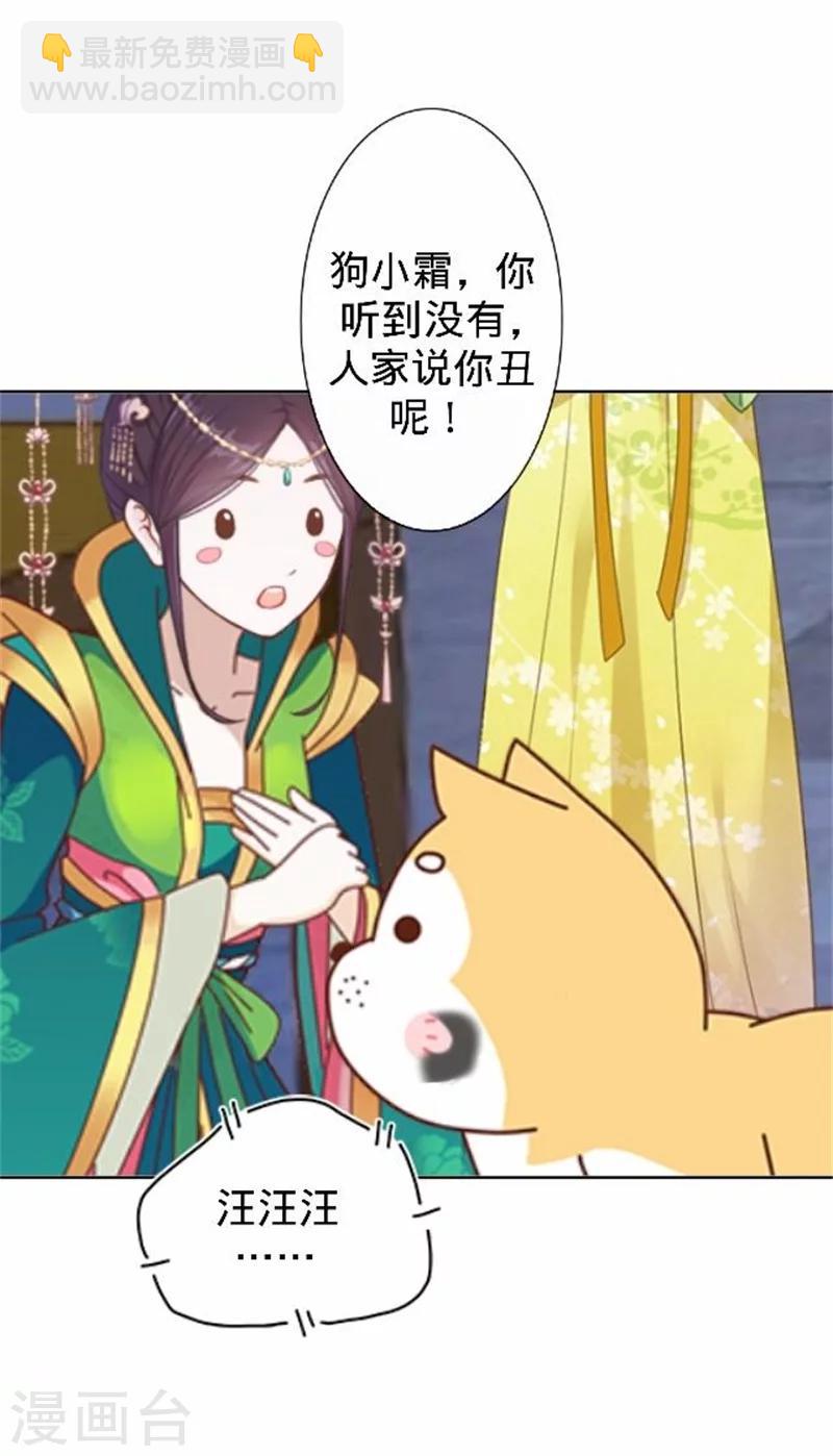 第39话 狗小霜(1/2)-第39话