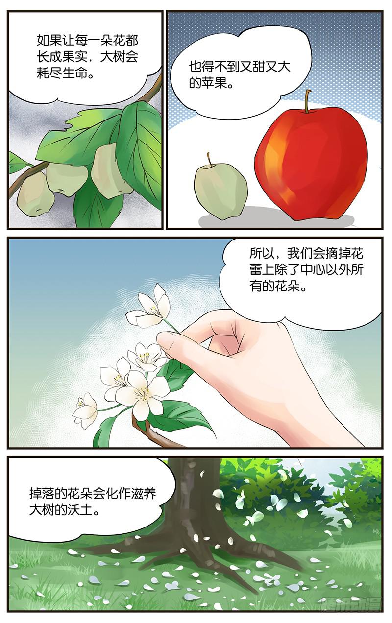 幻術小狐 - 27.花語夢想 - 1