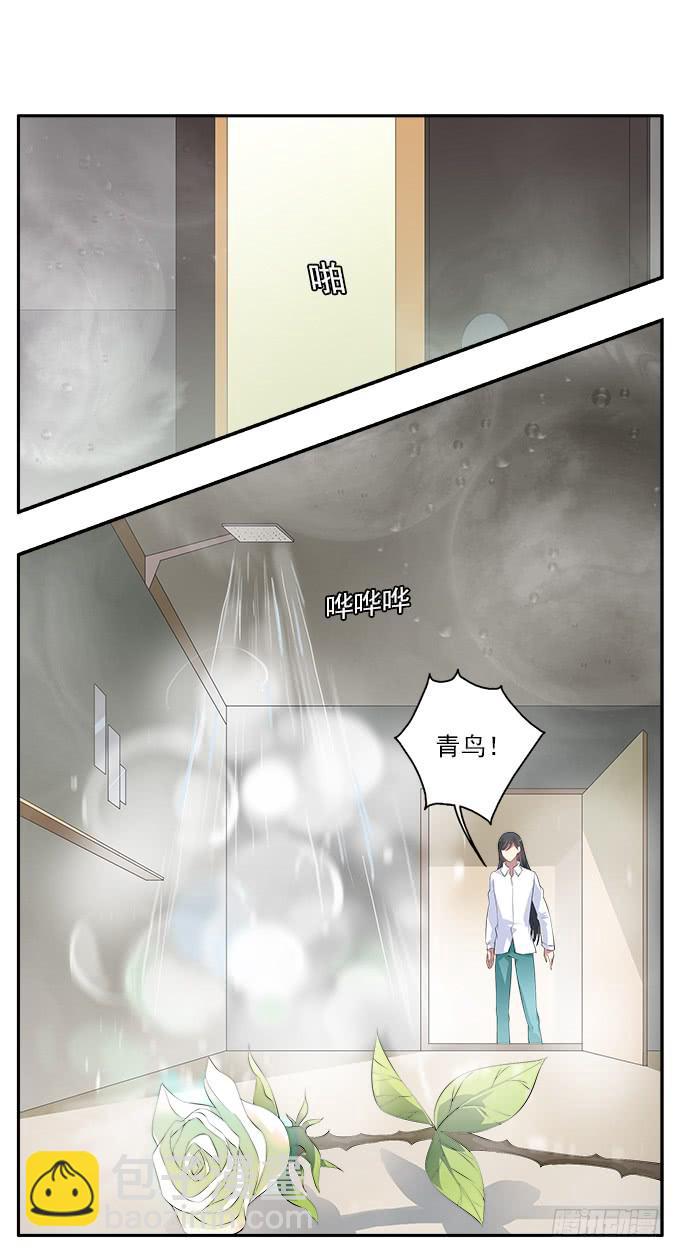 【白玫瑰1】一切的开端-第11话