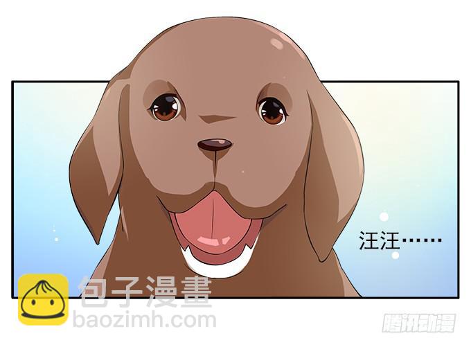 【鸢尾花2】短暂的幸福-第3话