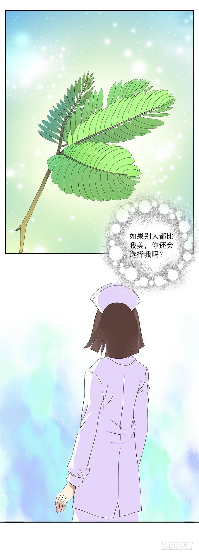 【含羞草】-第39话