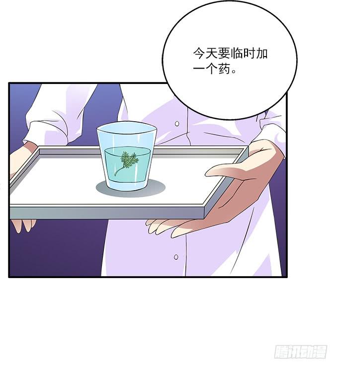 【含羞草】-第39话