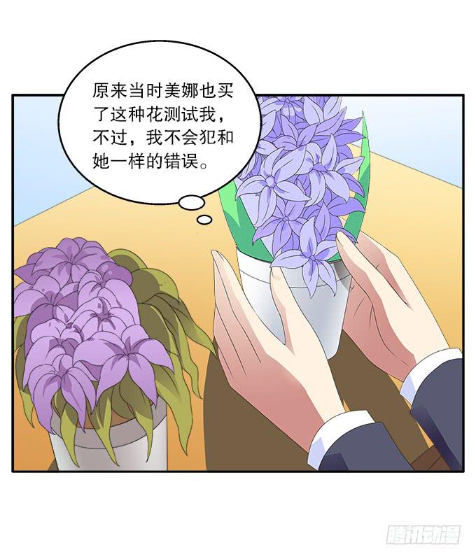 花語心願 - 藍色水菊 - 7