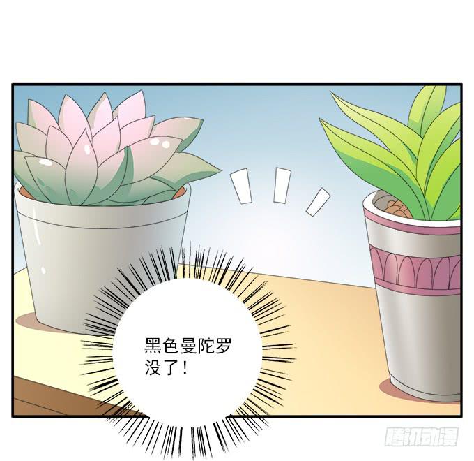 黑色曼陀罗-第75话