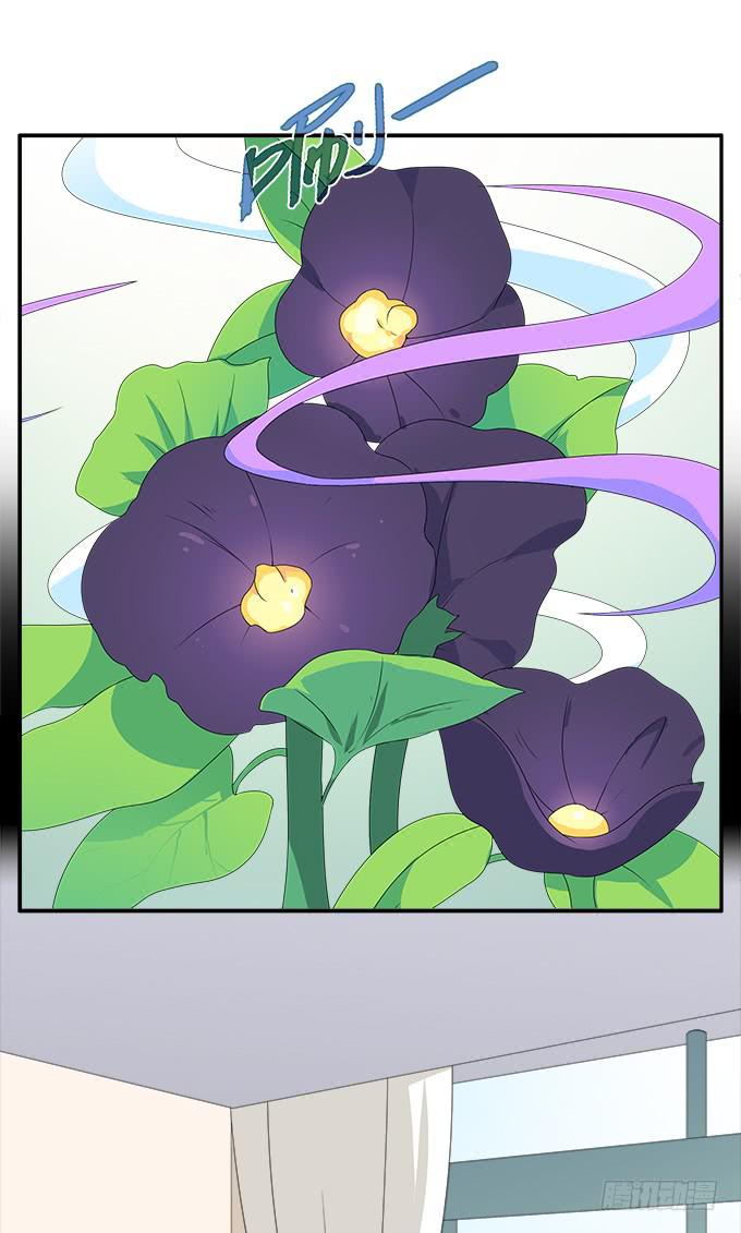 来世的选择-第77话