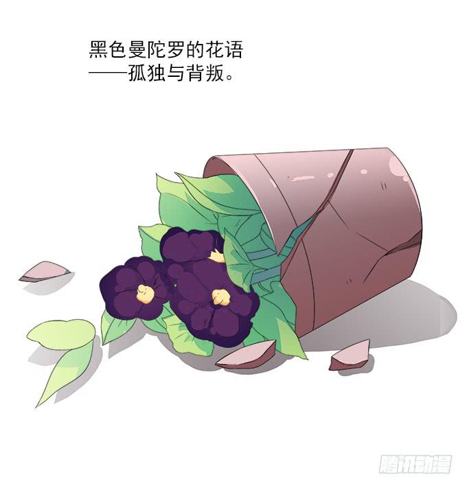 来世的选择-第77话