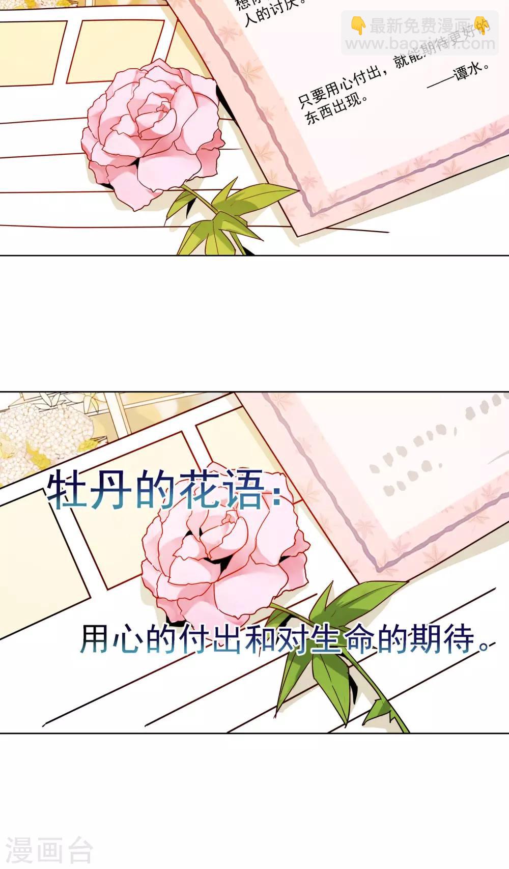 第14话 绿牡丹的花语-第15话