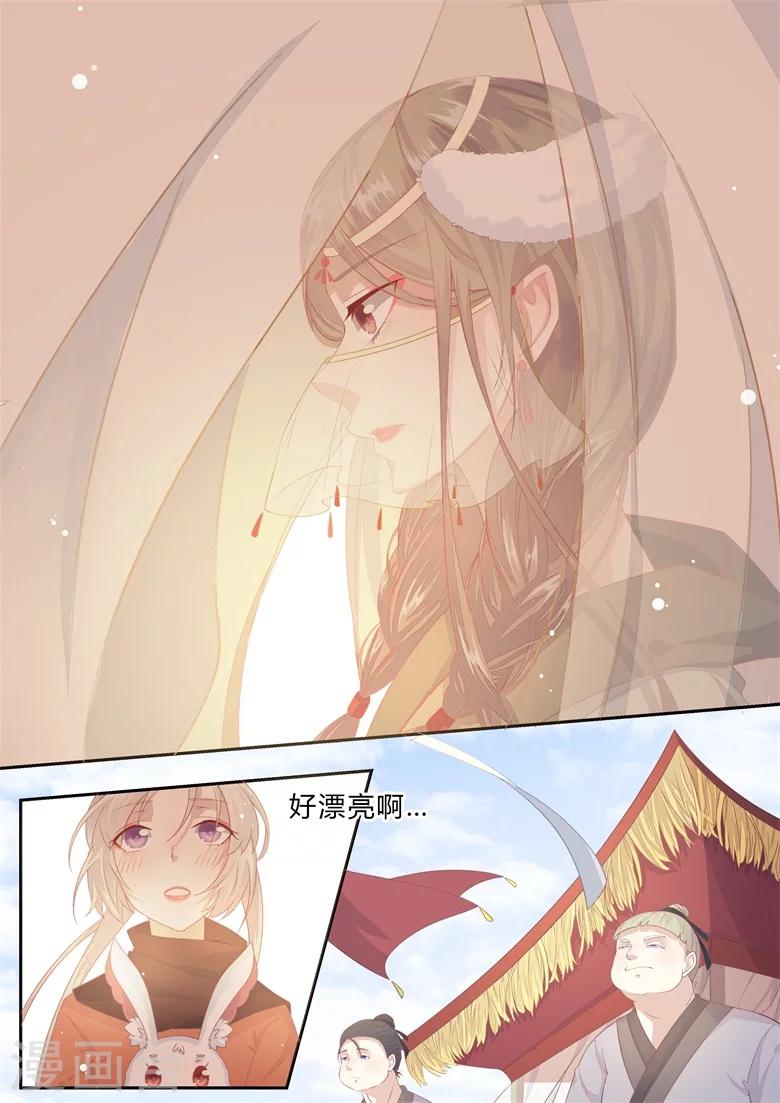 狐妖太子妃 - 第3話 爲了賺錢差點賣身 - 3