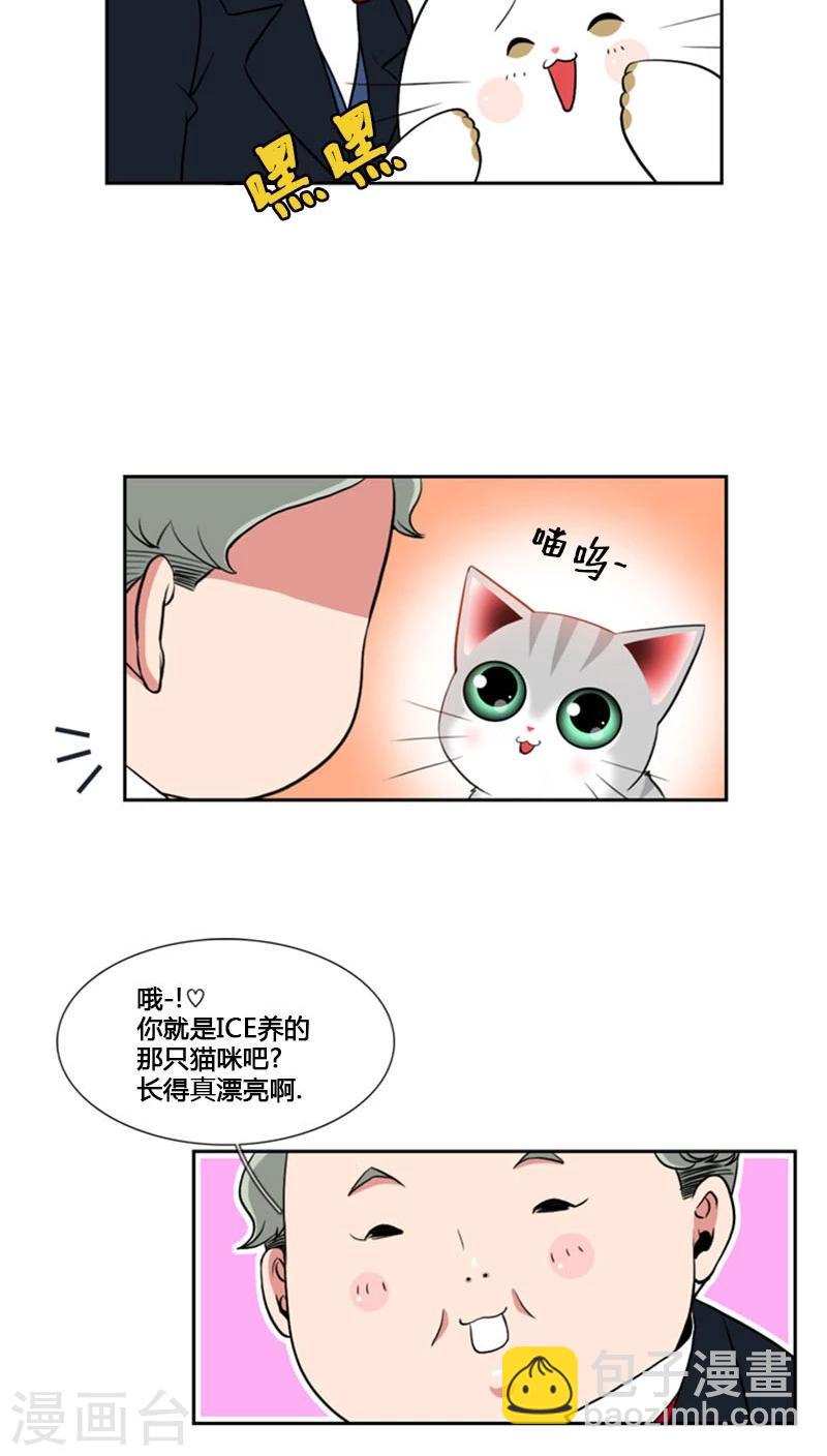 ICE-Cold要员的捡猫事件 - 第79话 - 6