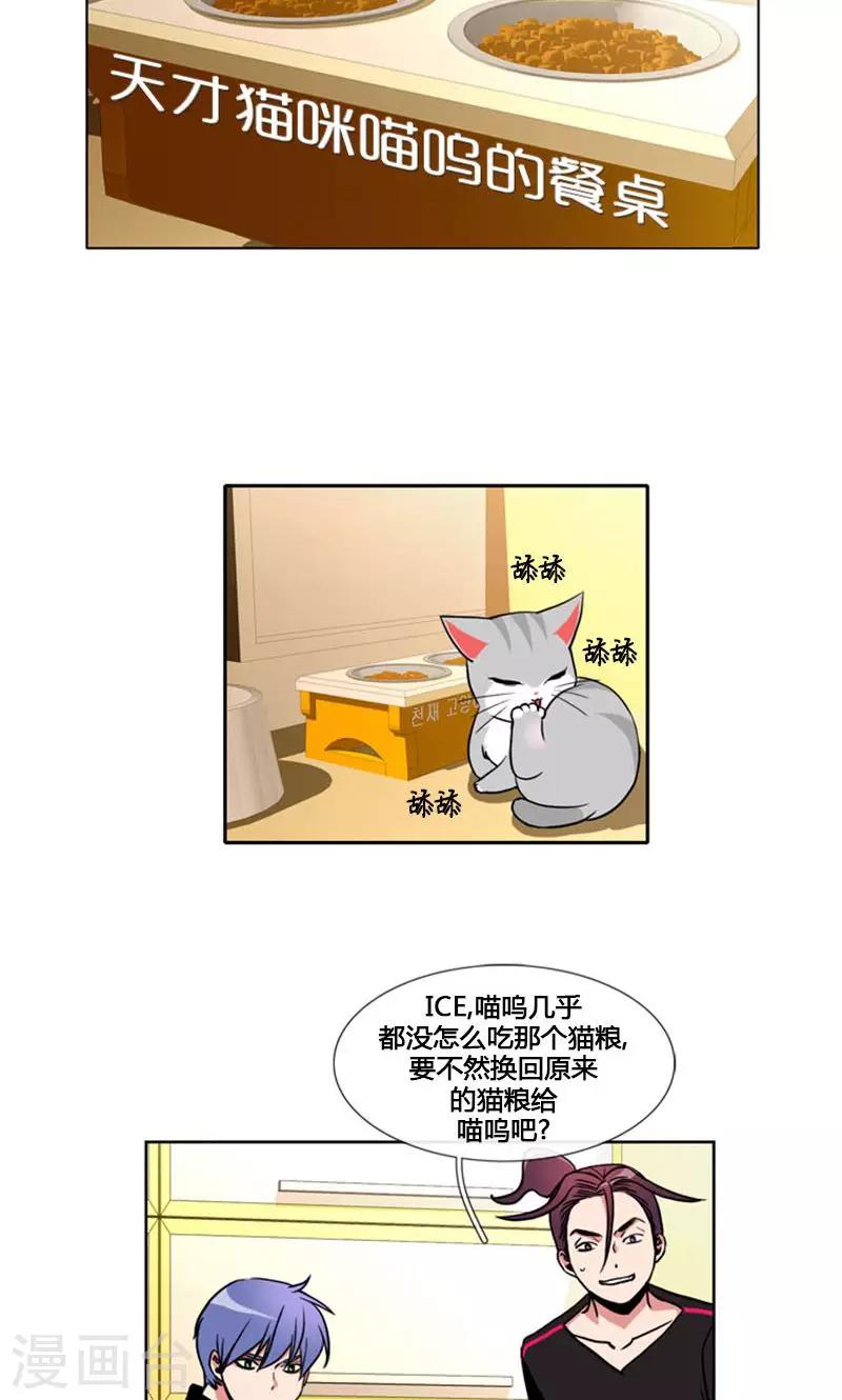 ICE-Cold要员的捡猫事件 - 第93话 - 5