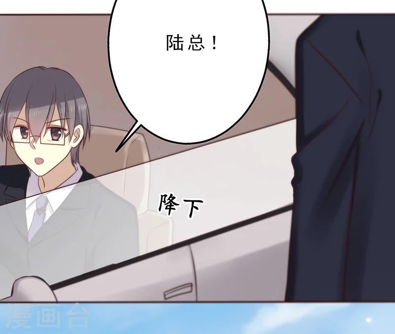 第1话 命运的邂逅-第1话