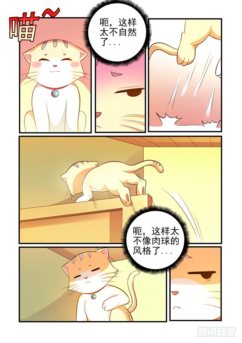 吃醋的肉球！-第45话