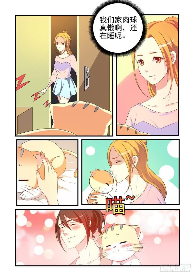 吃醋的肉球！-第45话
