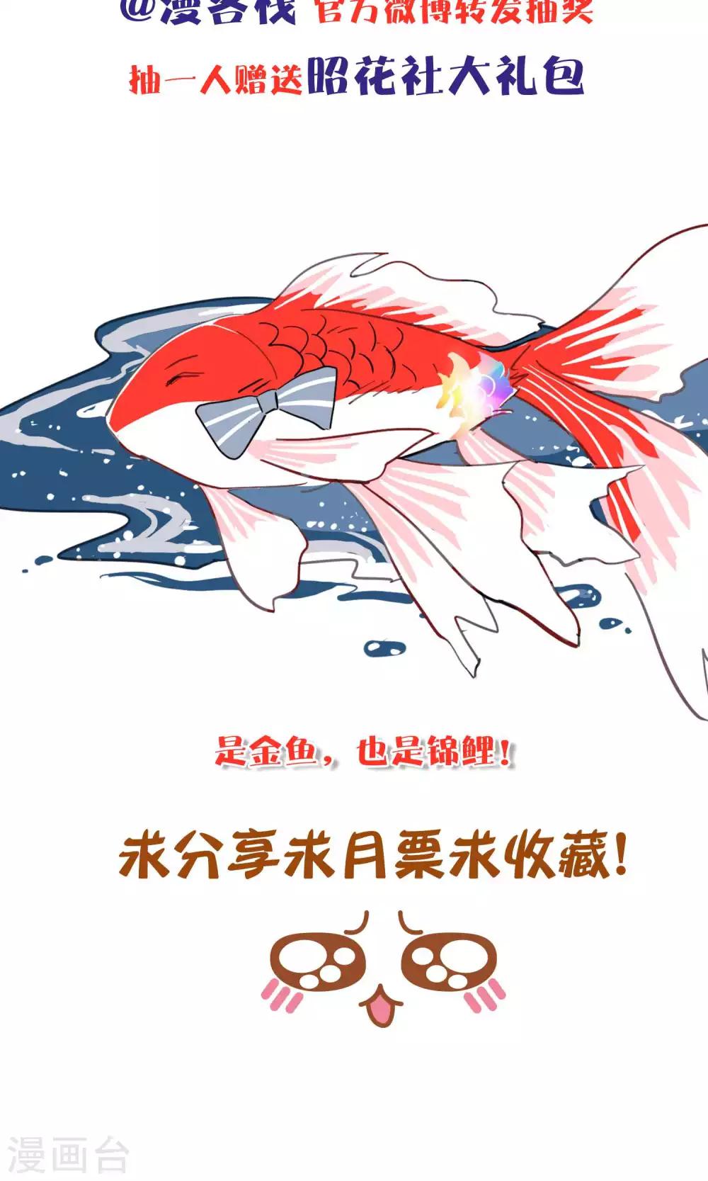 第4话 爱心便当-第5话