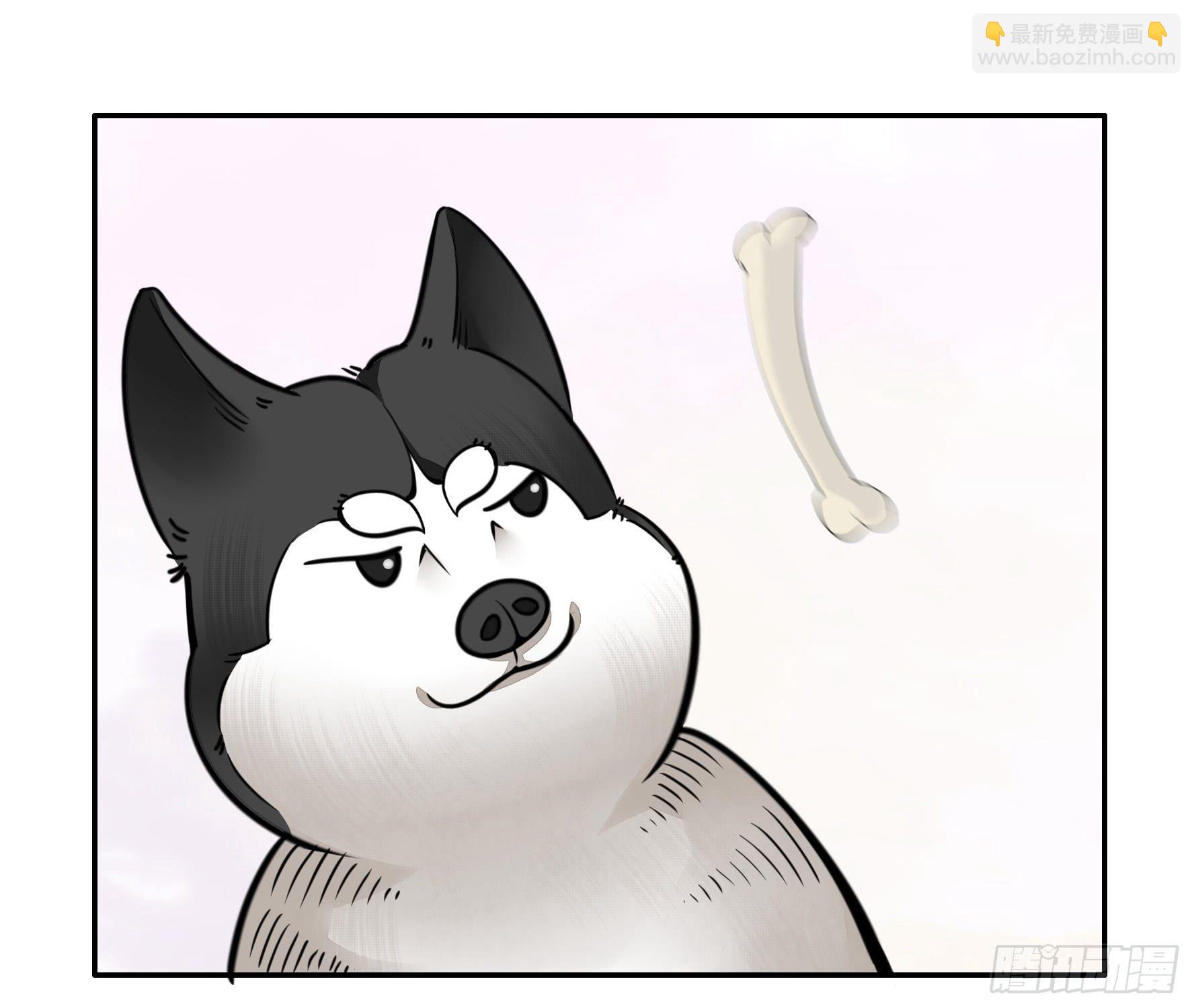 就决定是你了！哮天犬！-第47话