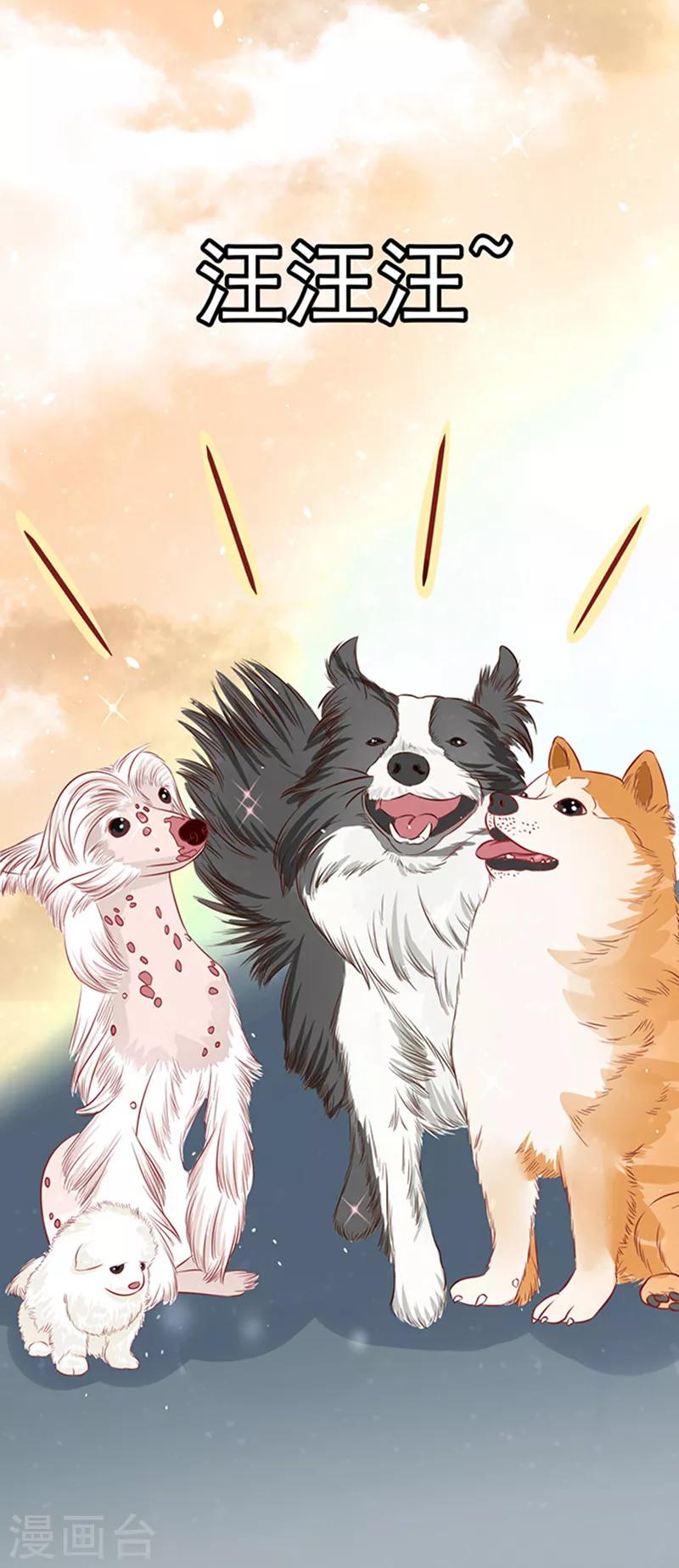 第43话 隐形毛绒控-第43话