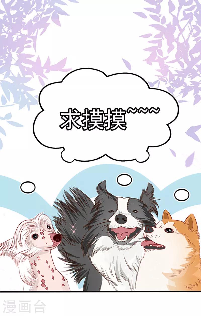 第43话 隐形毛绒控-第43话