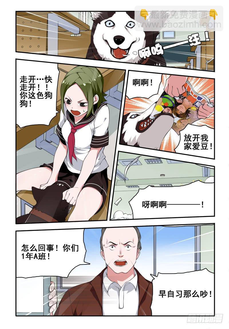 35 小咪与雪球（二）-第35话