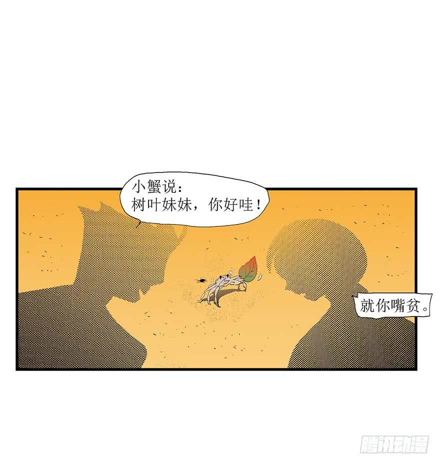 最美(1/2)-第11话