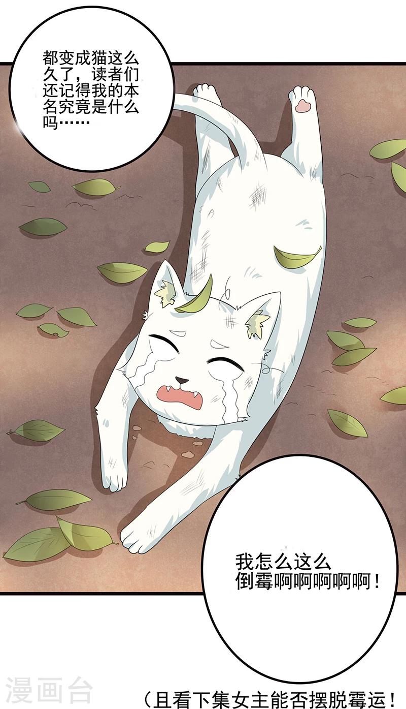 第6话 塑料姐妹情-第7话