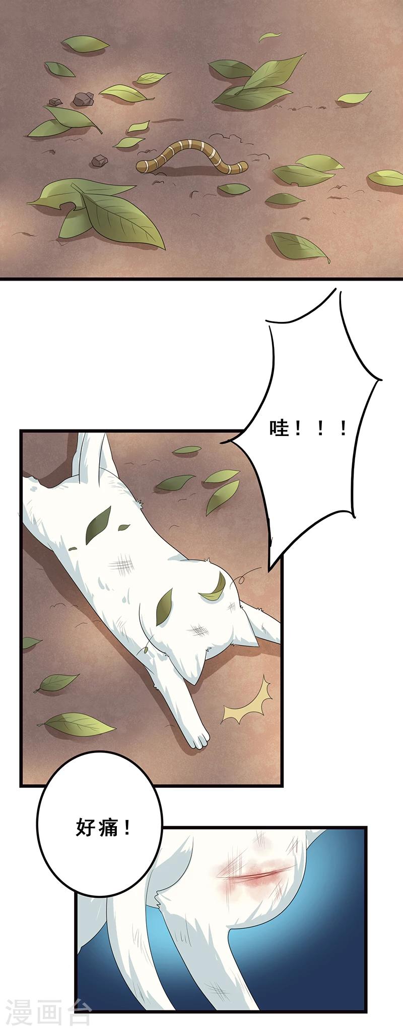 第6话 塑料姐妹情-第7话