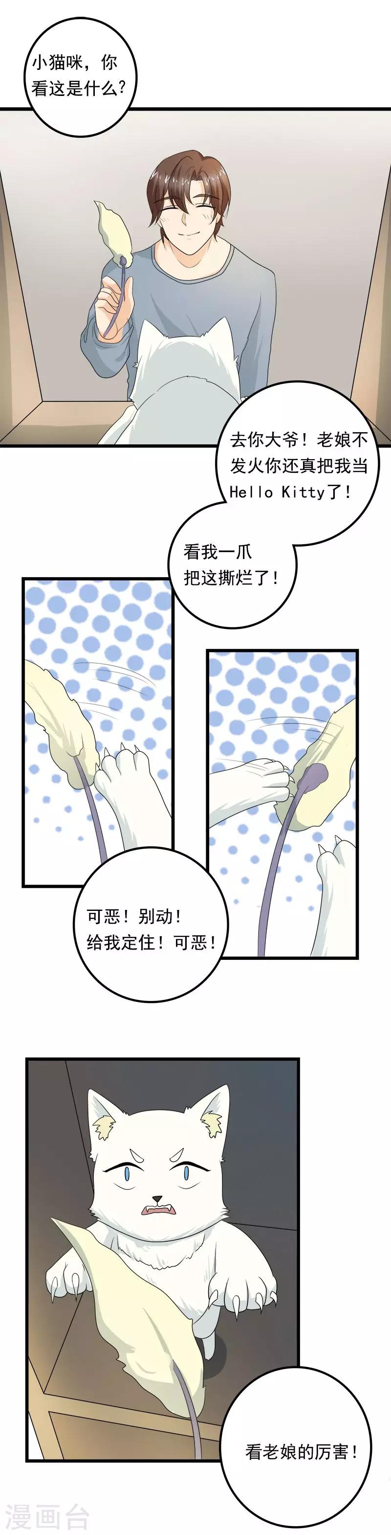 第8话 猫饼与铲屎官-第9话