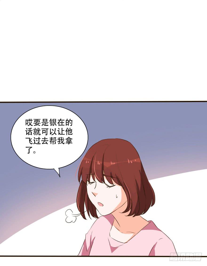 银要离家出走！？(1/2)-第23话