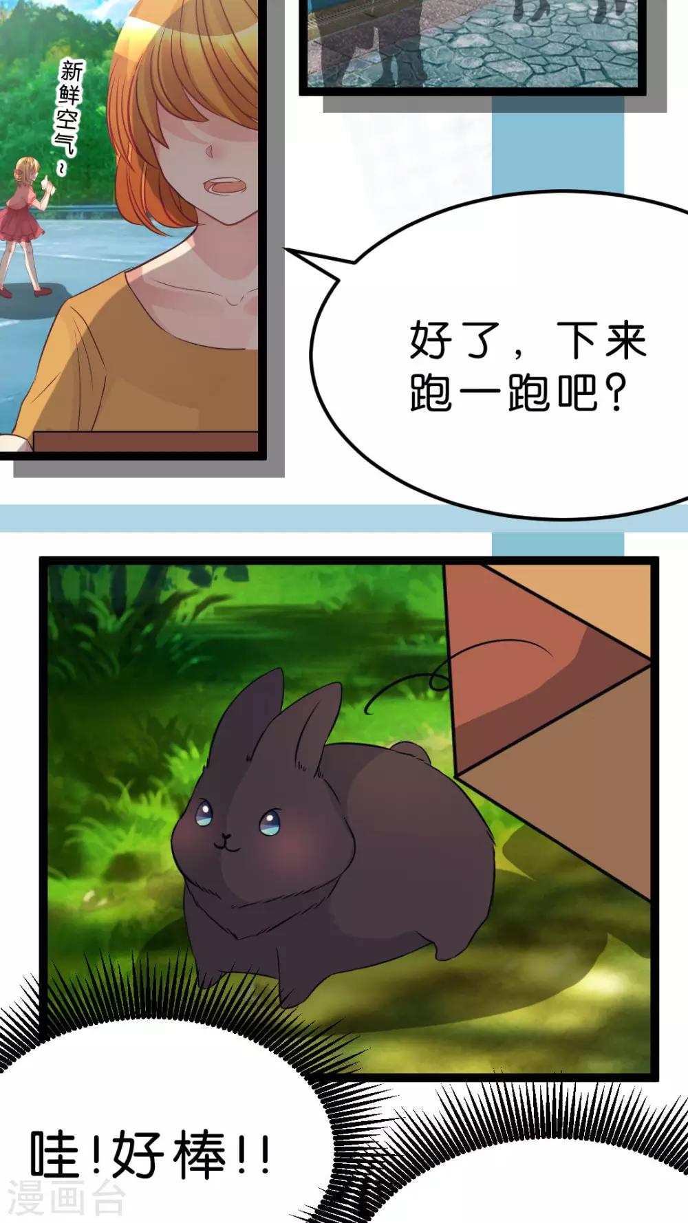 第35话 关于这只兔子的过去（2）-第37话