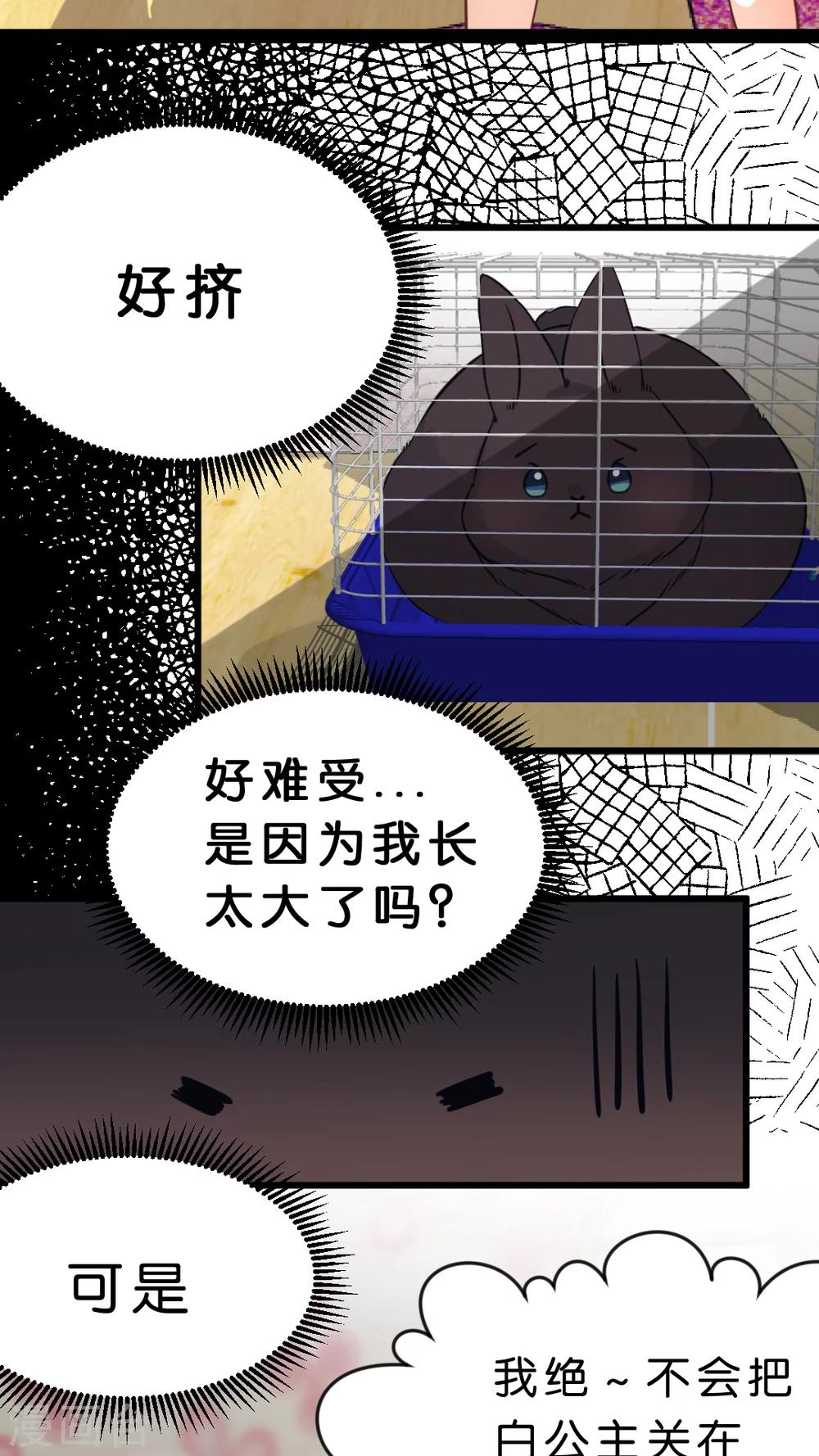 第35话 关于这只兔子的过去（2）-第37话