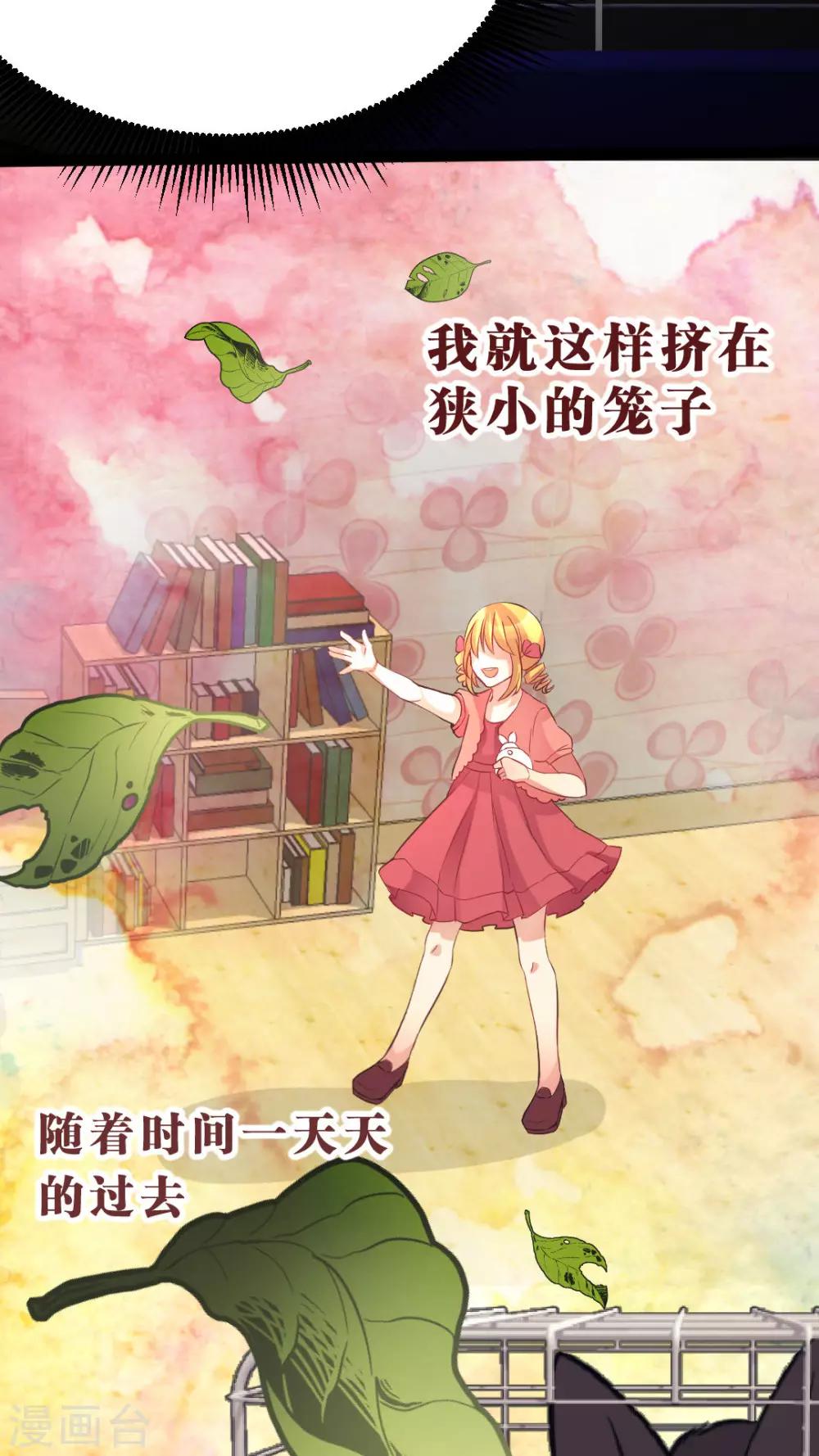 第35话 关于这只兔子的过去（2）-第37话