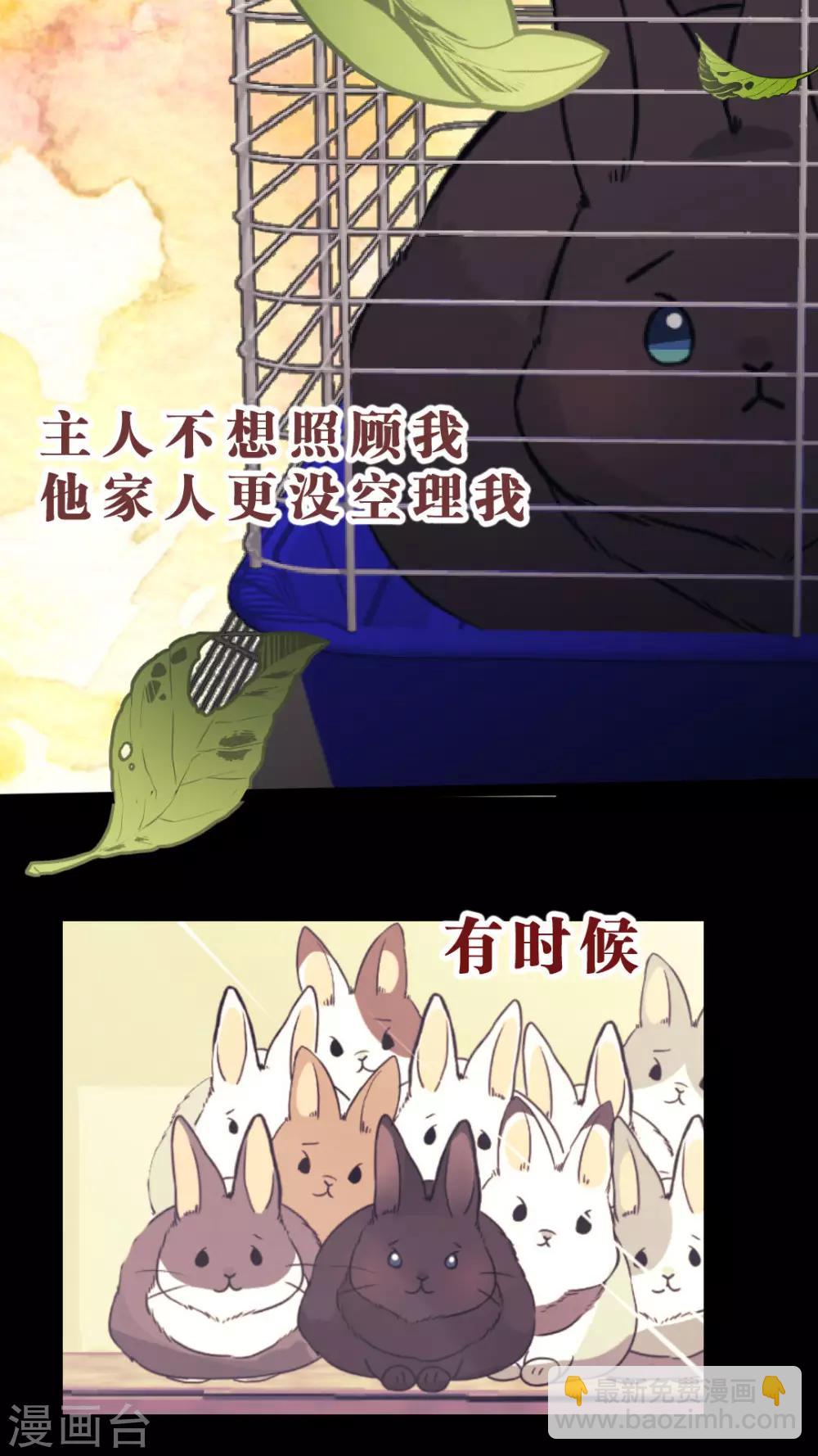 第35话 关于这只兔子的过去（2）-第37话