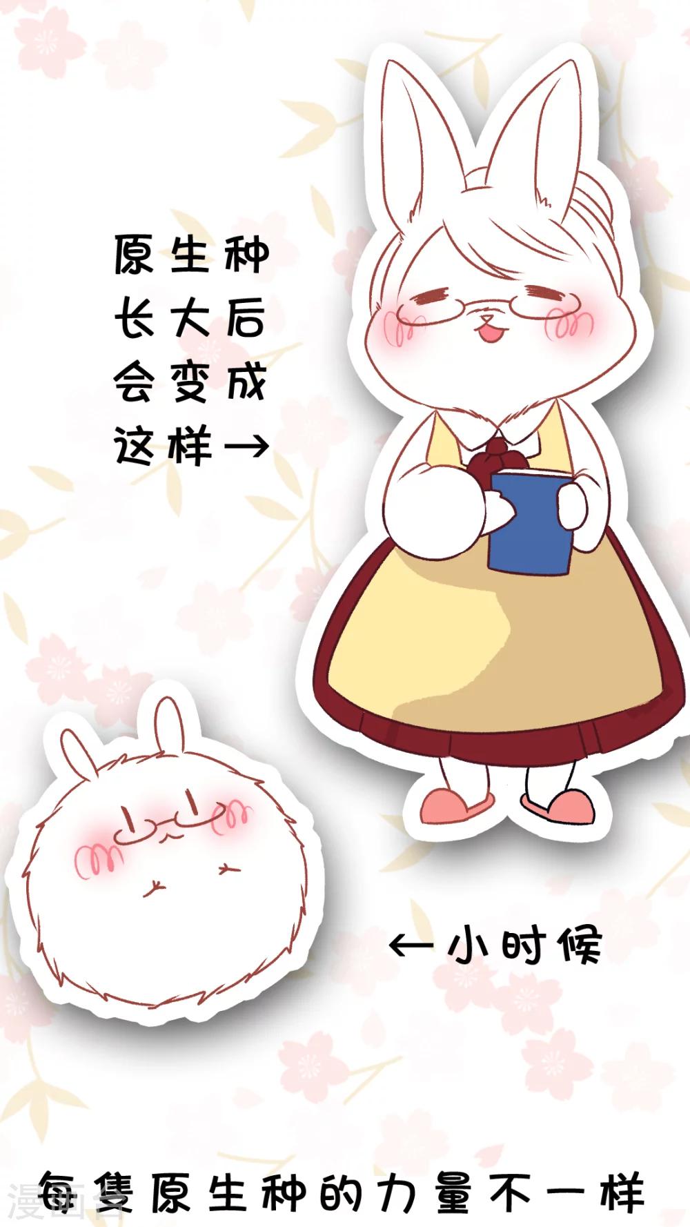 第41话 毛茸茸攻击-第43话