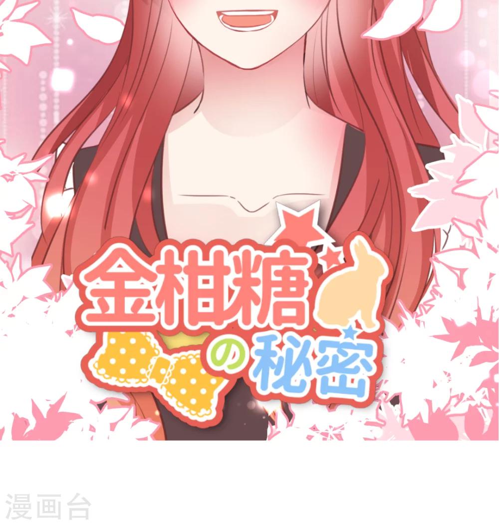 最终话 再见-第63话