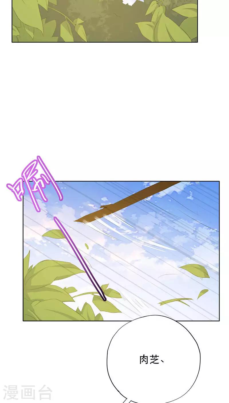 第21话(1/2)-第21话