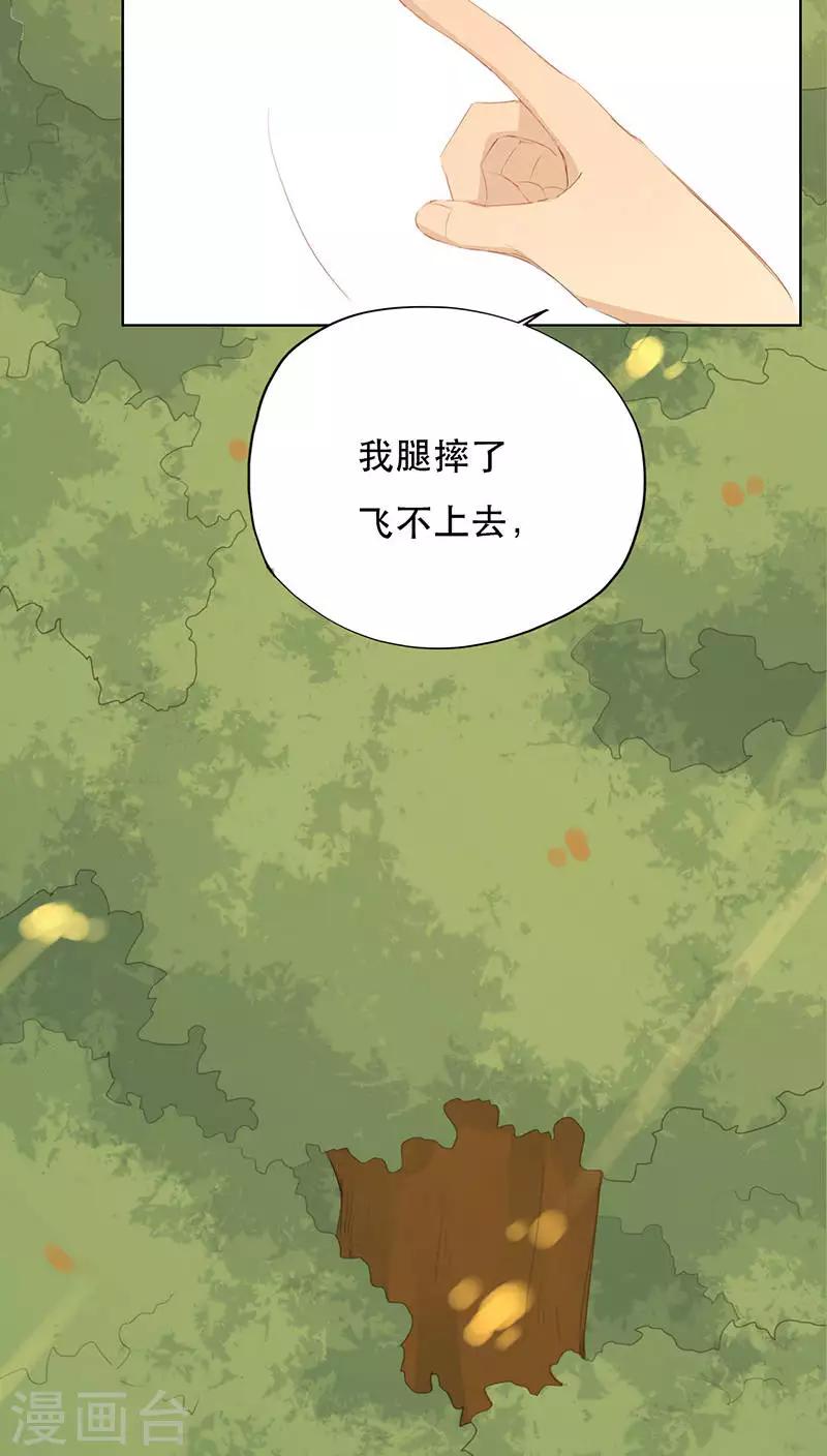 第21话(1/2)-第21话