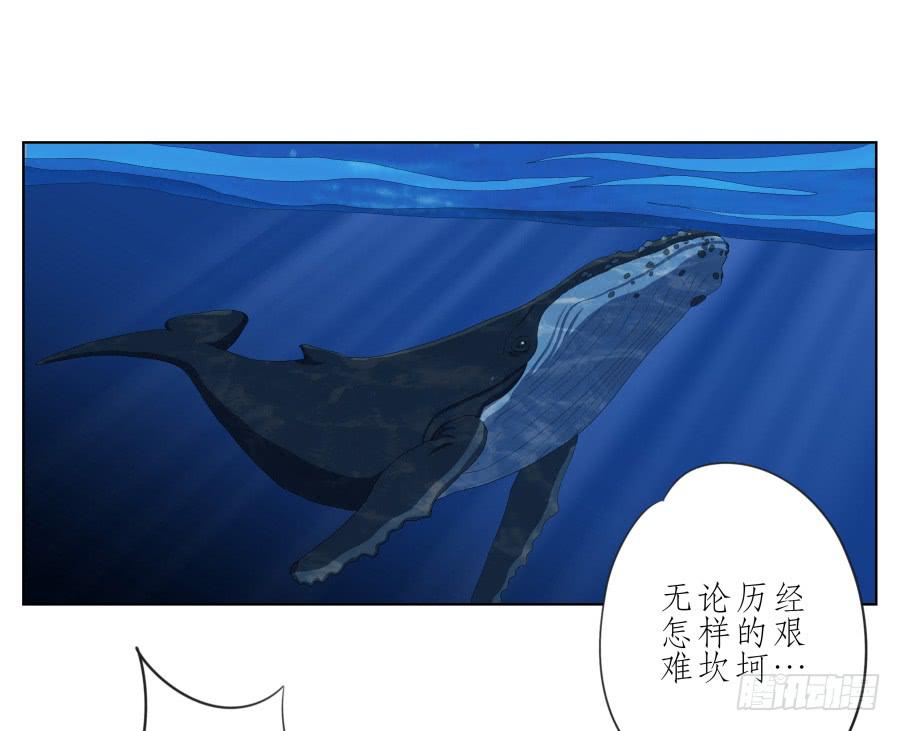 鯨魚的耳朵 - 這真是一次特殊的經歷…(2/2) - 5