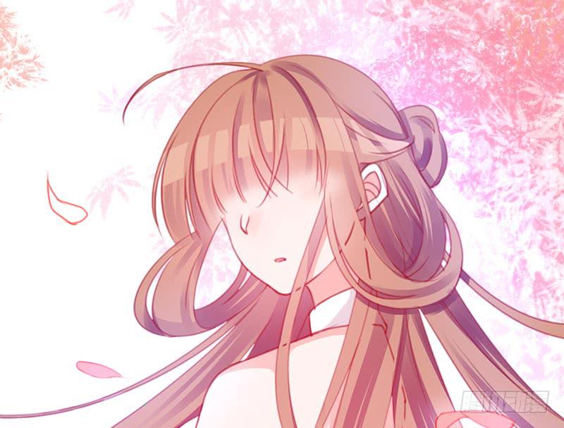 礼物与阴谋(1/2)-第13话