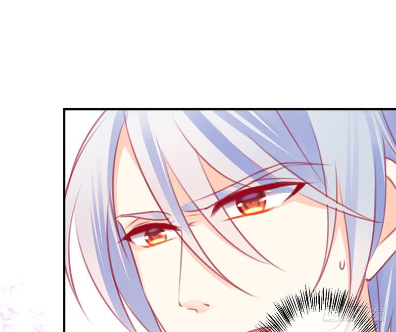 礼物与阴谋(1/2)-第13话