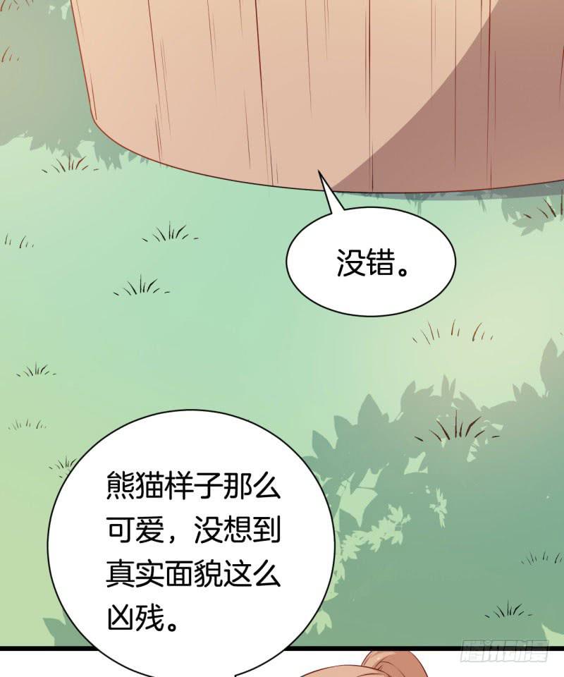 033黑眼圈不是坏妖怪（一）(1/2)-第37话