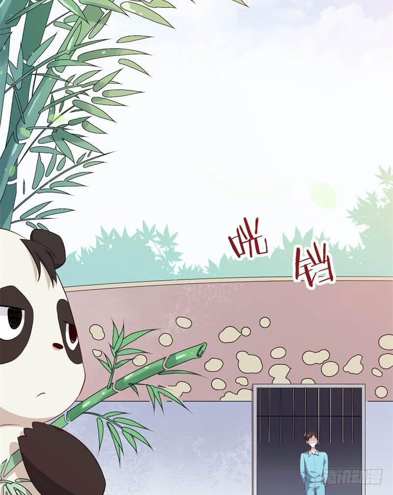 041黑眼圈不是坏妖怪（九）(1/2)-第45话