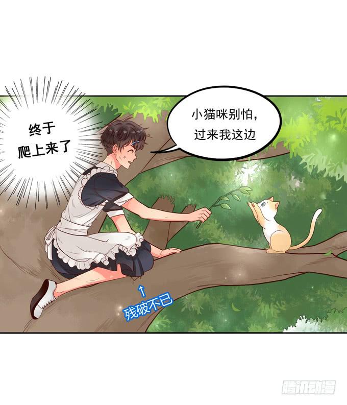 第1话：来做我的搭档吧！(1/2)-第1话