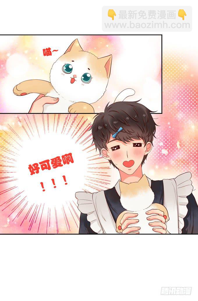 第1话：来做我的搭档吧！(1/2)-第1话