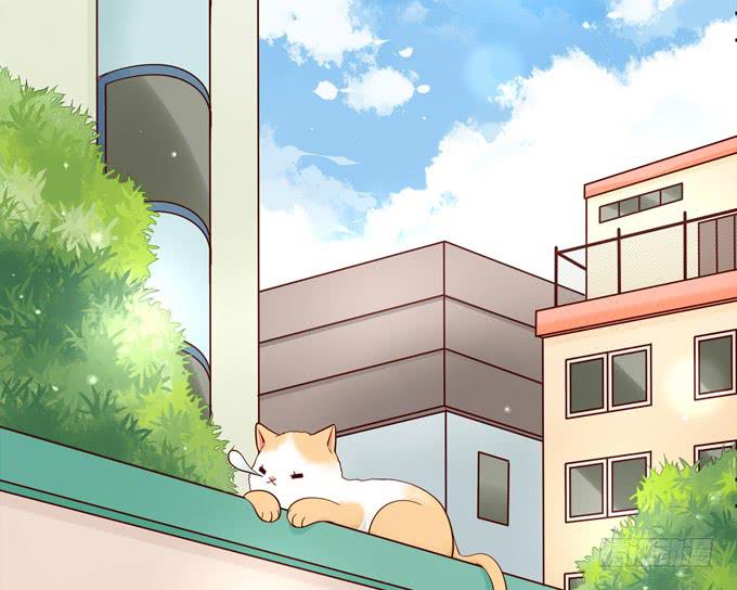 第38话：段师兄等着我！(1/2)-第41话