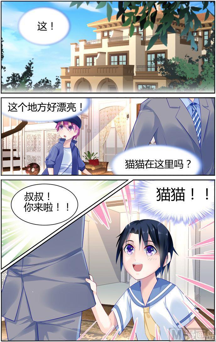 第19话 机灵的猫猫-第19话