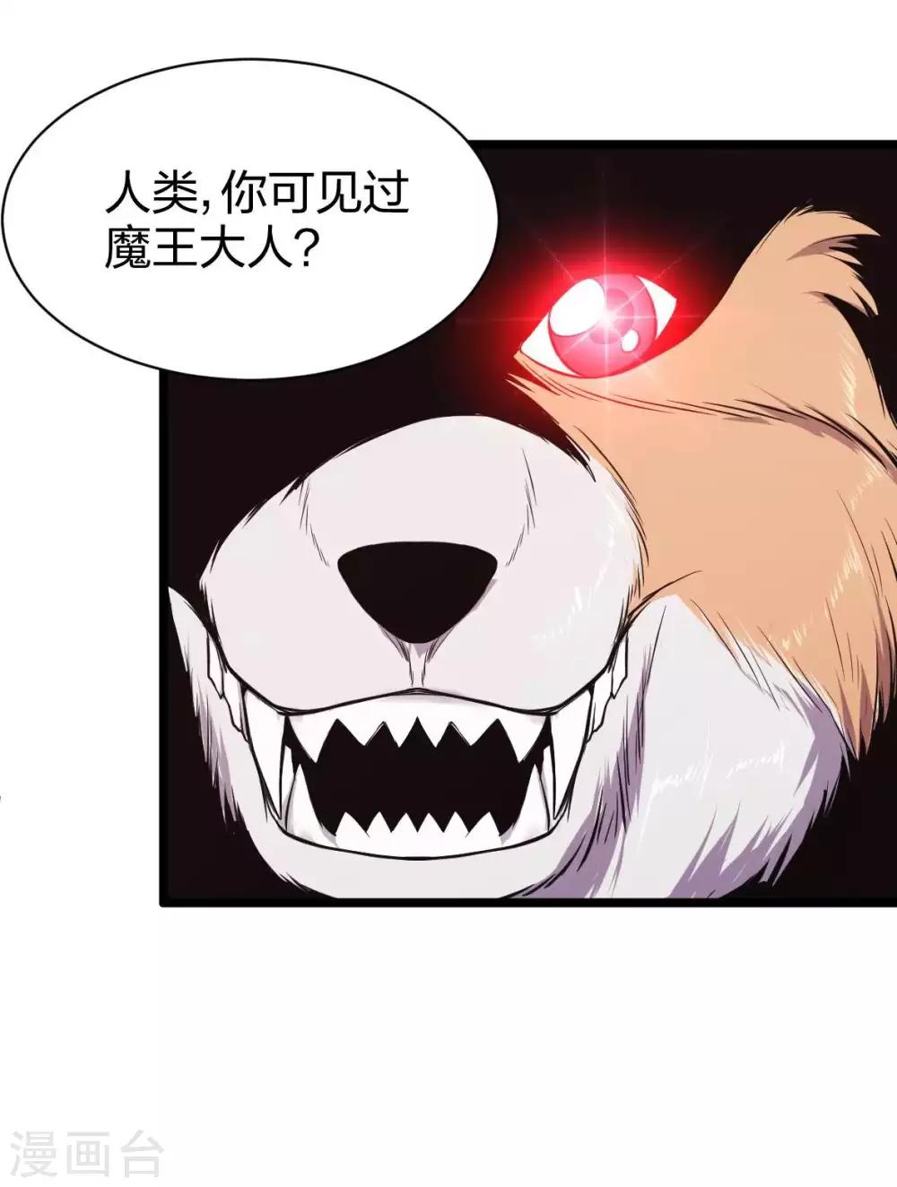 第14话 魔犬柯基，参上！-第15话