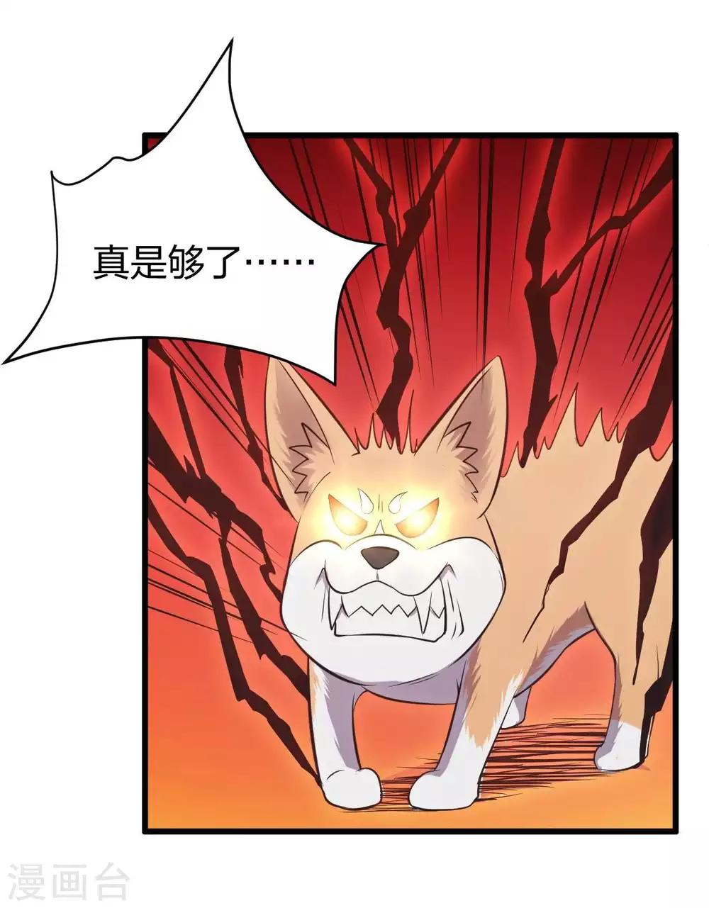 第14话 魔犬柯基，参上！-第15话