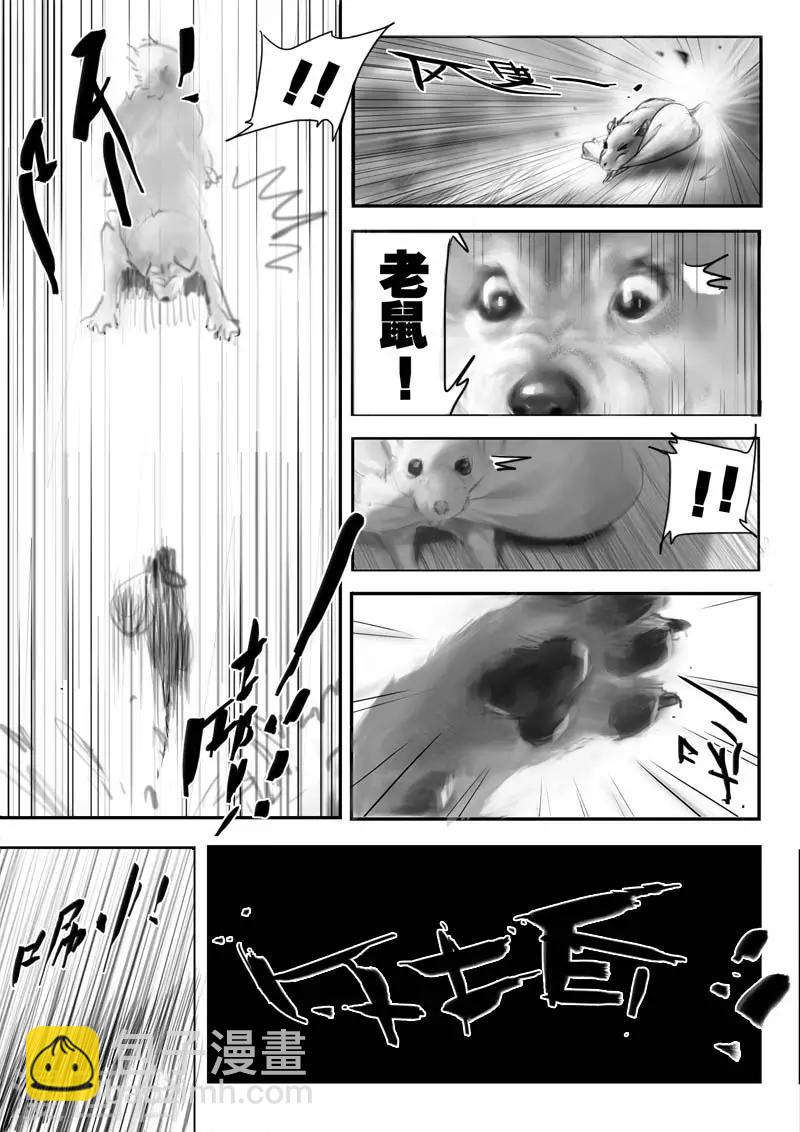 第1话 相遇-第1话