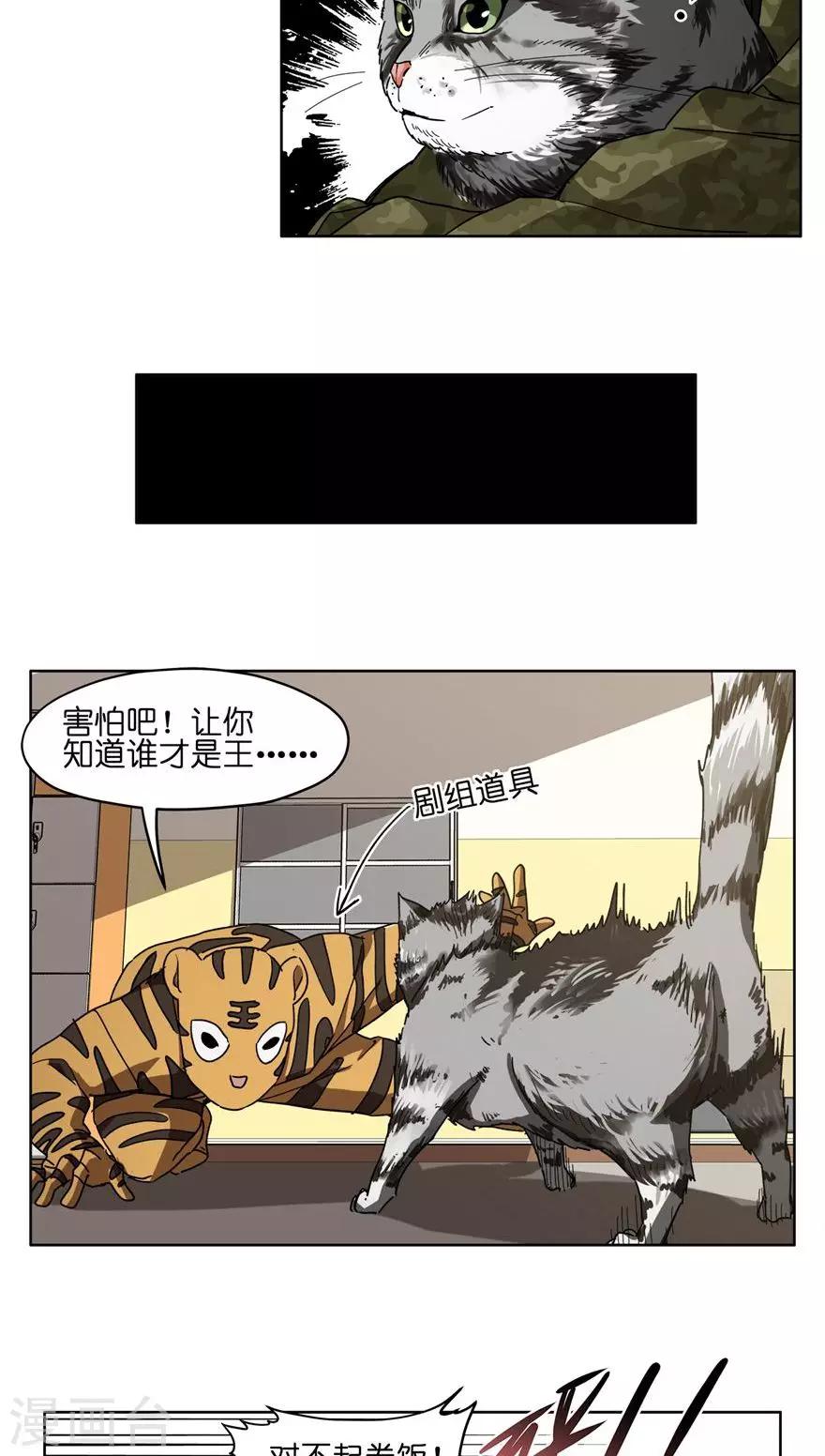 第43话 喵皇-第43话