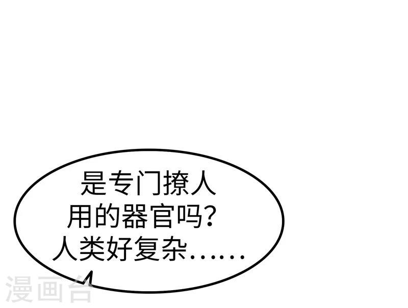 第24话 器官-第25话